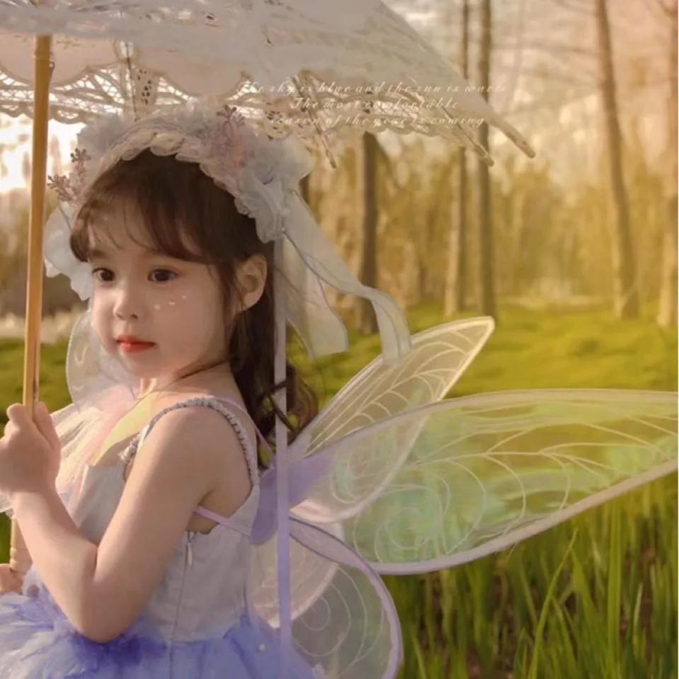 Princess Butterfly Fairy Wing  - огляд і ціна Elf Costume Christmas