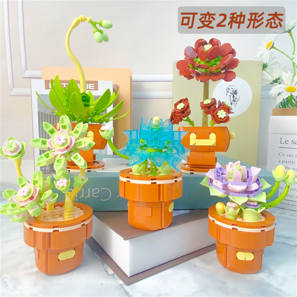2024 City Creativity Succulent - огляд і ціна Lego Set Creator