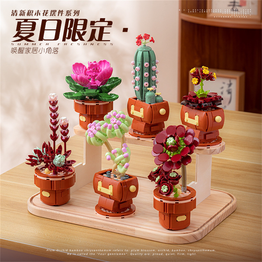 2024 City Creativity Succulent - огляд і ціна Lego Set Creator